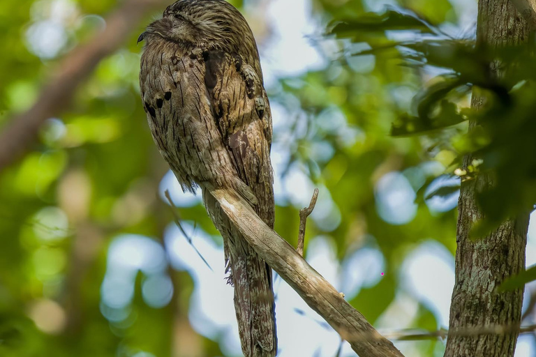 Rockland vogelreservaat privétourVan Grand Palladium/ Lady Hamilton