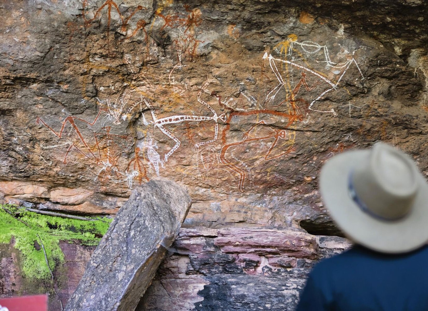 Fra Darwin: Kakadu Wilderness Escape og klippekunst-dagstur