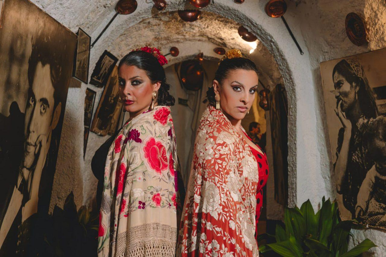 Granada: Authentic Flamenco Show at Venta El Gallo + 1 Drink Flamenco Show with Dinner