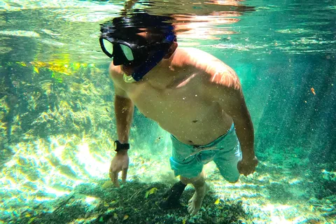 Sisal Yucatán: Snorkeling in a jungle spring and mangrove exploration