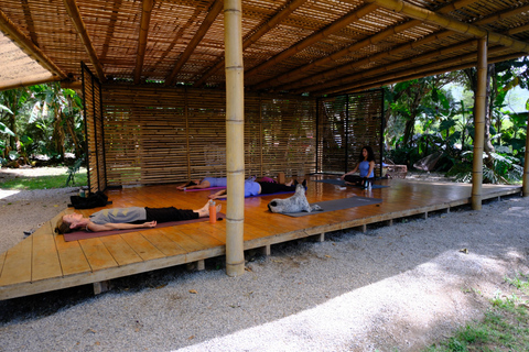 Antigua: Morning Yoga Class on a Coffee Farm Antigua: Private Yoga Class on a Coffee Farm