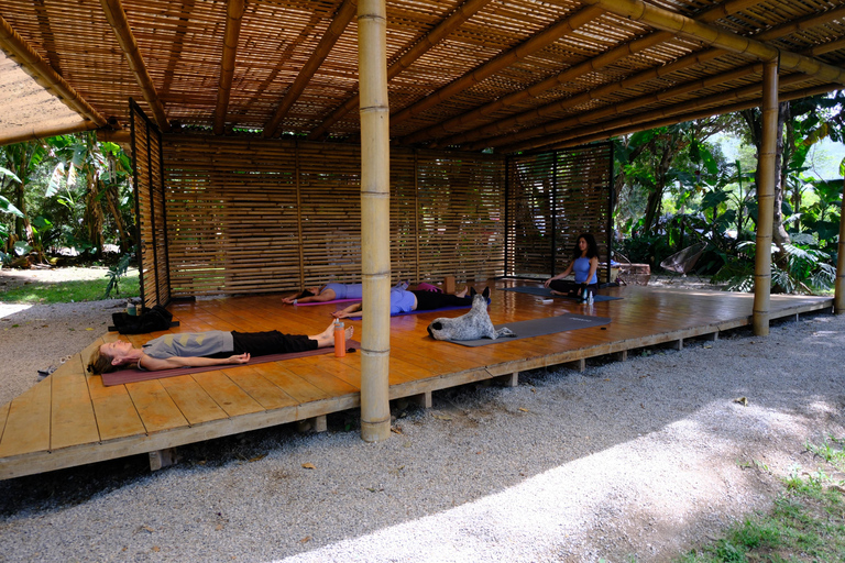 Antigua: Morning Yoga Class on a Coffee Farm