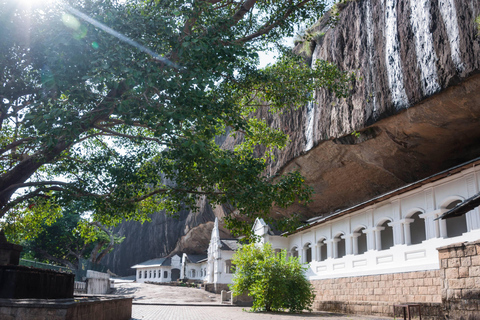 Kandy to Sigiriya Rock & Minneriya Safari: Privet Day Tour