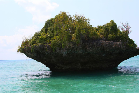 Zanzibar: Privé dagtrip safari blauw met BBQ lunch