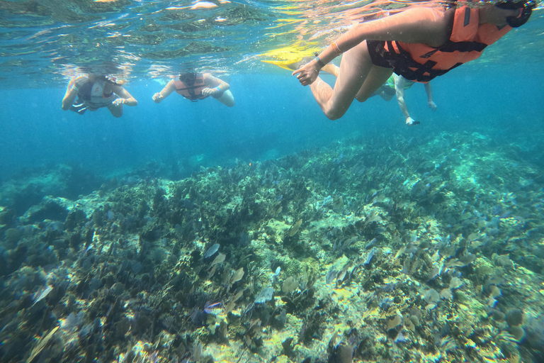 Isla Mujeres: Snorkel tour in 3 spots, Underwater Museum, and reefs! Isla Mujeres: Snorkeling tour in 3 spots, Underwater Museum and reefs!