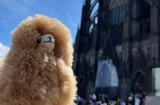 Tagestour Aachen & Köln ab Brüssel