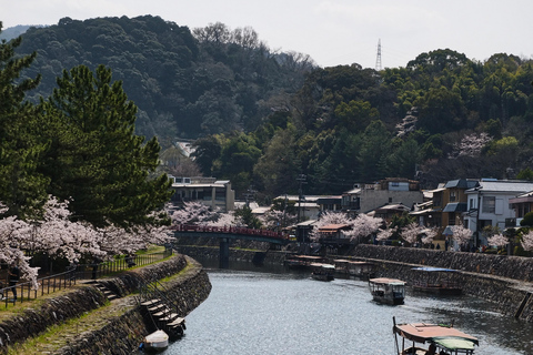 Kyoto Uji: Matcha Tea Ceremony, Tea Museum & Byodoin Temple Kyoto: Uji: Matcha Tea Ceremony, Tea Museum & Byodoin Temple