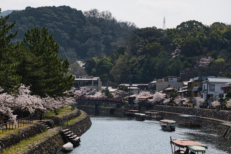 Kyoto Uji: Matcha Tea Ceremony, Tea Museum & Byodoin Temple Kyoto: Uji: Matcha Tea Ceremony, Tea Museum & Byodoin Temple