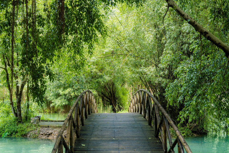 Hanoi: Ninh Binh Am Tien Cave or Trang An, Mua Cave & Hoa Lu Private Tour: Ninh Binh, Hoa Lu, Trang An, Mua Cave, Incense