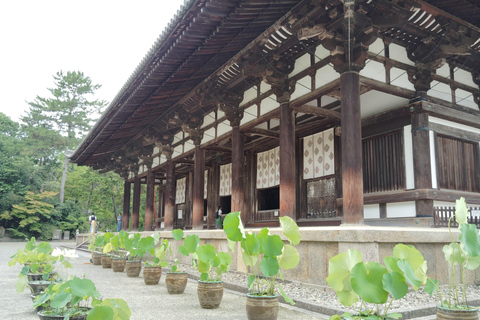 Nara: Światowe dziedzictwo Yakushi-ji i Toshodai-ji w 3 godziny