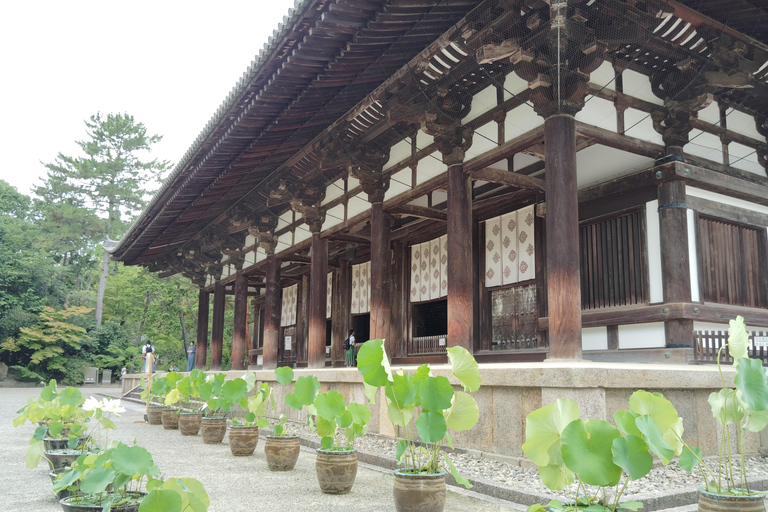 Nara: Yakushi-ji y Toshodai-ji, Patrimonio de la Humanidad, en 3 horas