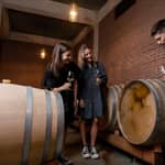 Termeno/Termeno: visita della cantina e degustazione di vini, J. Hofstätter