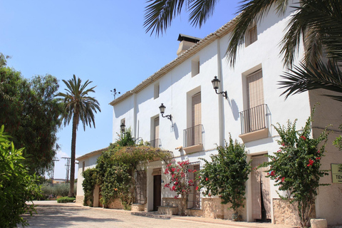 Ab Alicante: Geführter Besuch einer alten Weinkellerei. Verkostung inklusive.