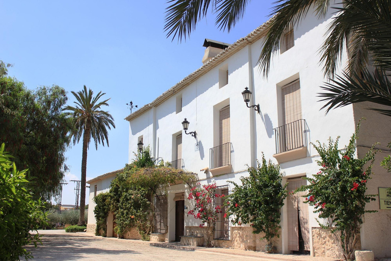 De Alicante: Visita guiada a uma antiga vinícola. Degustação incluída.Tour em inglês