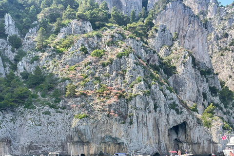 Sorrento: Boat Tour with Swimming Stops and Drinks