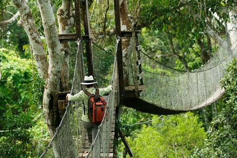 Puerto Maldonado: Canopy, Zipline, and Kayak Adventure