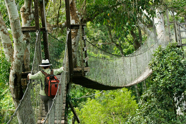 Puerto Maldonado: Canopy, Zipline, and Kayak Adventure