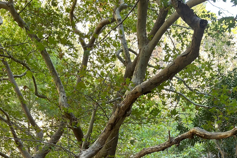 Agia Irini Schlucht &amp; Sougia Strand