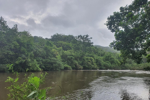 SANTAMARTA: TOUR Palomino, Magdalena. Colazione e pranzo inclusi