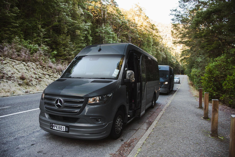 From Queenstown: Milford Sound Business Class with Cruise Milford Sound Business Class