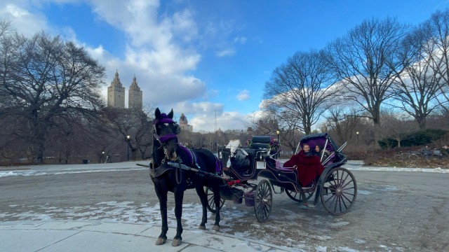 Official VIP Whole Central Park Horse Carriage Tour
