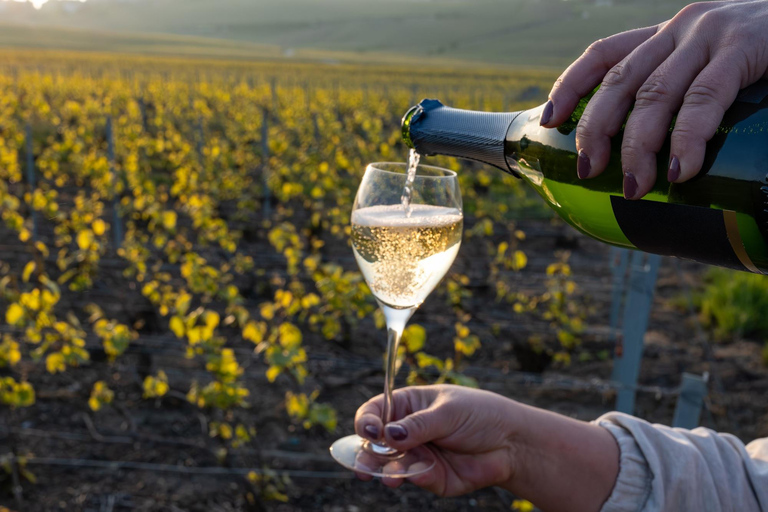 Bilbao: Rioja Wine Region Private Day Tour