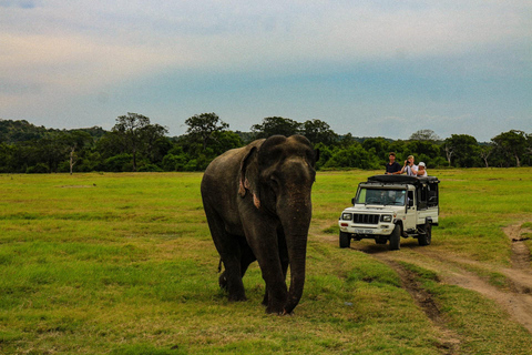 Colombo: 3-tägiges kulturelles Dreieck, Kochkurs, Wildtiere