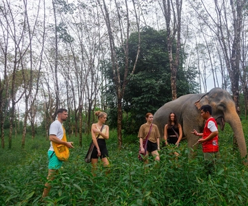 Phuket: Elephant Sanctuary Tour, Cooking Class & Lunch