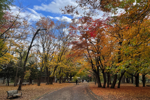 Sapporo: Wycieczka po świątyniach Hokkaido z rytuałami, historią i słodyczami