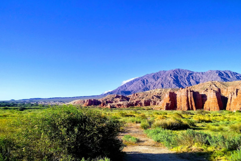 Salta Essentials: 4-Day Tour with Optional AirfarePremium with Airfare