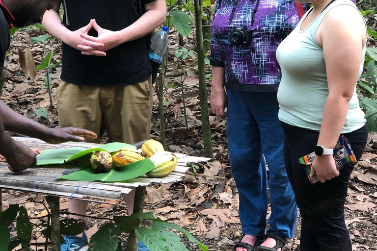 Excursión de un día a los Jardines Botánicos de Aburi, la Granja de Cacao y las Cataratas de BotiExcursión de un día a los Jardines Botánicos de Aburi y las cascadas de Boti