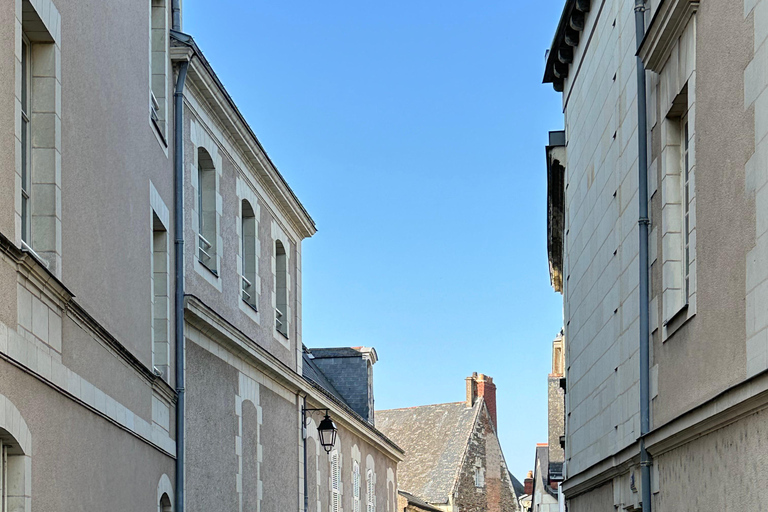 Angers: Château d'Angers, Wine Tasting, and Lunch Tour