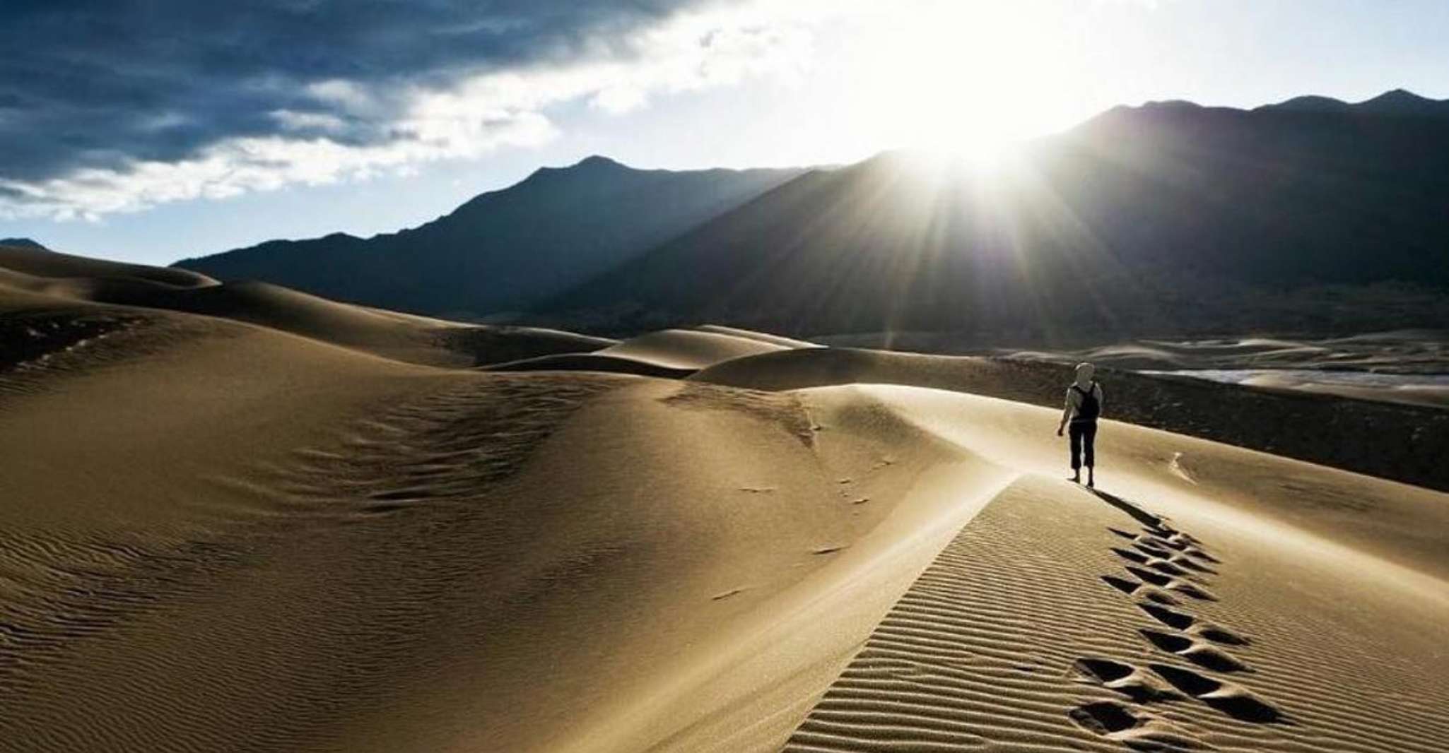 Doha:ATV,Quad or Buggy Dune Bashing,CamelRide & Sandboarding photo 18