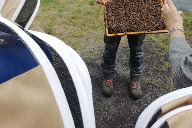 Zafferana Etnea:Honey extraction workshop and honey tasting Tour for 2 people