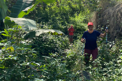 From Praia: Purgueira-Picos Sunrise Hike with Picnic Santiago: From the Beach, a Sunrise Hike to Purgueira-Picos with a Picnic