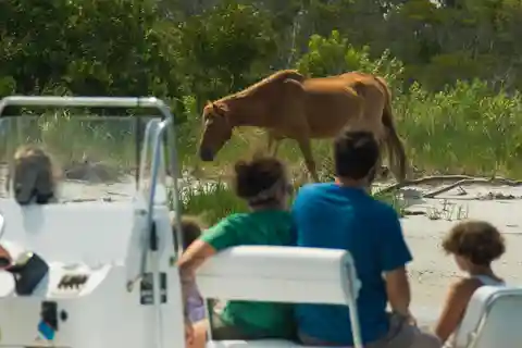 Ocean City: Private Party Assateague Island Cruise