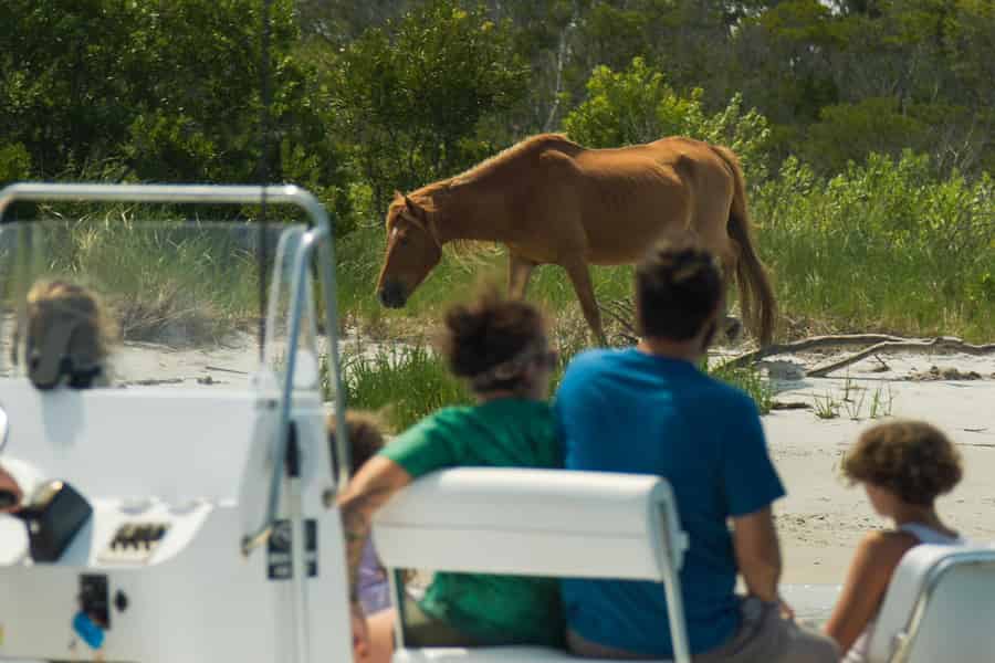 Ocean City: Private Party Assateague Island Kreuzfahrt. Foto: GetYourGuide