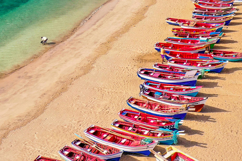 Praia: jednodniowa wycieczka minibusem dla pasażerów statków wycieczkowychOdbiór w porcie