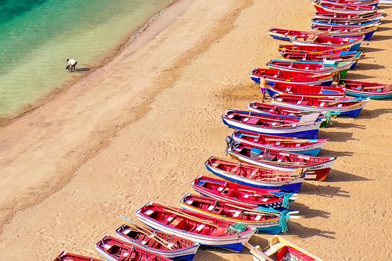 Praia: jednodniowa wycieczka minibusem dla pasażerów statków wycieczkowychOdbiór w porcie