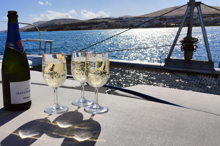 Tenerife: PRIVATE Catamaran cruise with Lunch and Drinks