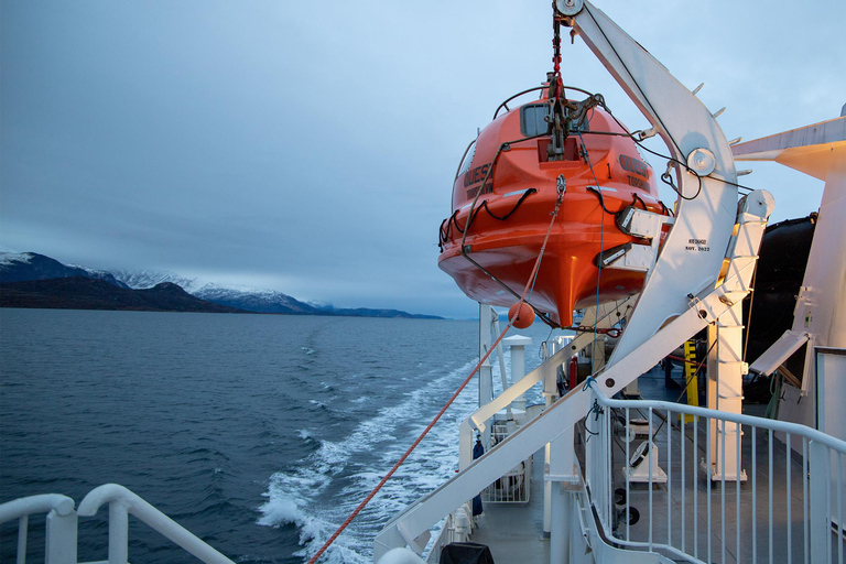 Desde Tromsø: Excursión nocturna de auroras boreales y avistamiento de ballenasDesde Tromsø: Excursión nocturna para ver auroras boreales y ballenas