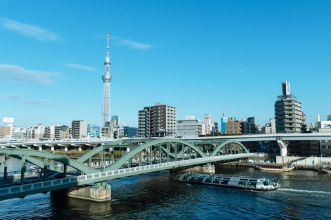 Tokyo Unforgettable Private Tour for Family(up-to 6 persons)