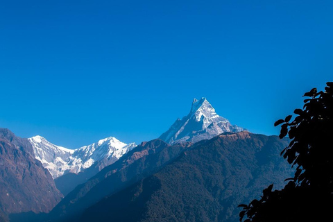 ABC (Annapurna Base Camp) Trek