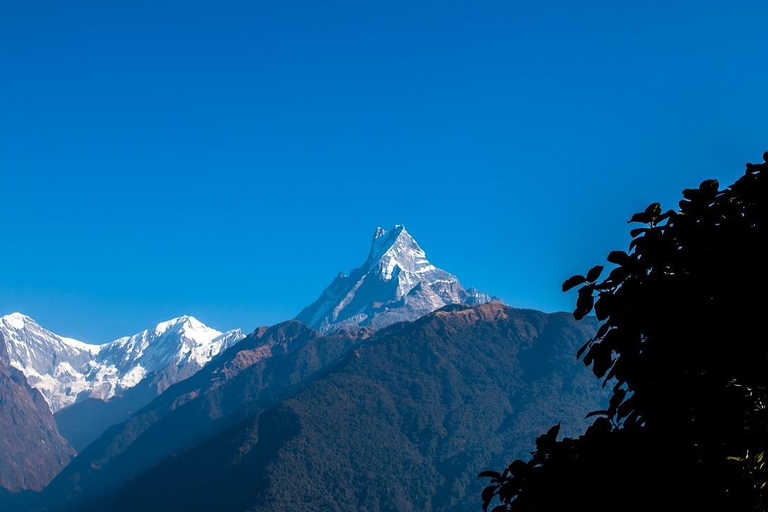 ABC (Annapurna Base Camp) Trek