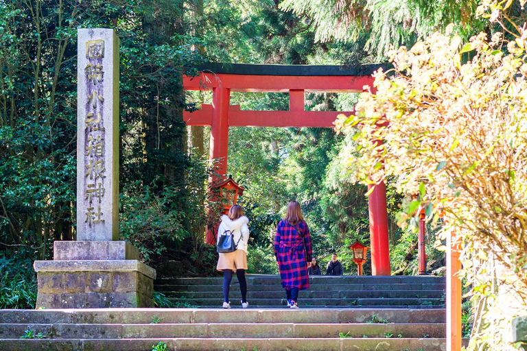 Mt.Fuji:Hakone Cruise, Ropeway&amp;Oshino Hakkai Full-day Tour8:30 AM pick up at Shinjuku station