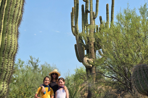 Phoenix: ATV Tour with Panoramic Views ATV Tour with Panoramic Views 2-Seater (Driver Only)