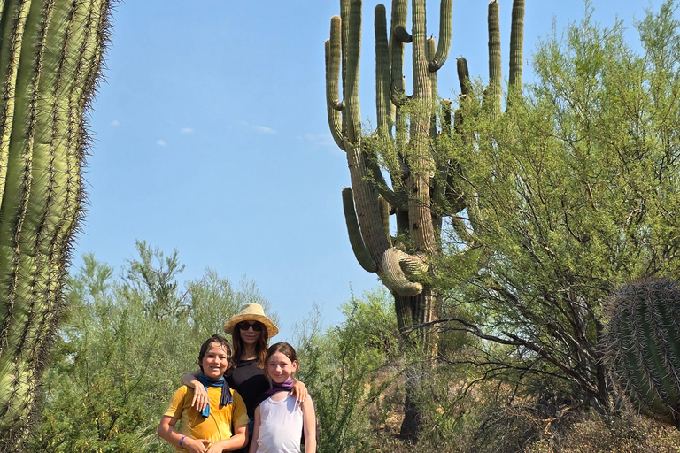 Phoenix: ATV Tour with Panoramic Views ATV Tour with Panoramic Views 2-Seater (Driver Only)