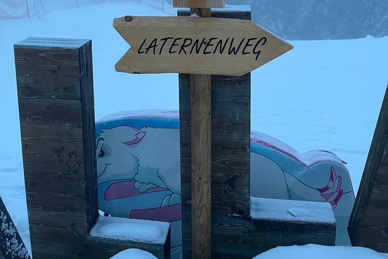 Interlaken: Night Sledding & Fondue Dinner with Guide