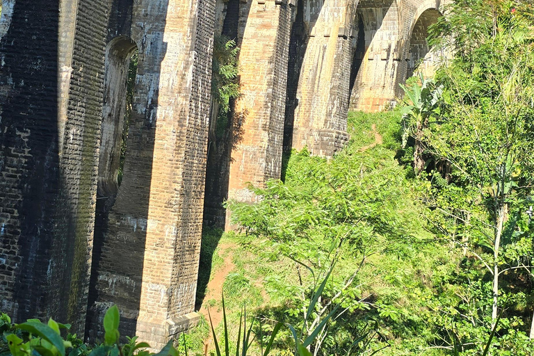 Ella: NineArches Bridge,Mini adam's peak and Waterfalls Tour