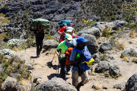 Moshi: Ascenso al Kilimanjaro Ruta Marangu Tour de 5 DíasMoshi: Ascenso al Kilimanjaro Ruta Marangu 6 Días